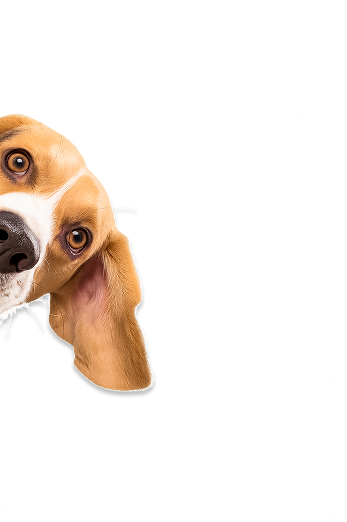 Decorative dog image